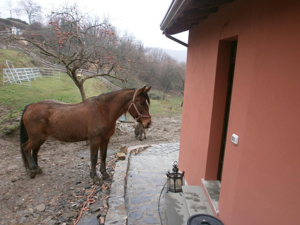I Poggi Di Grace Acomodação com café da manhã Fivizzano Exterior foto