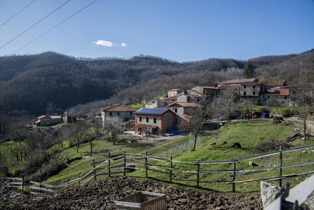 I Poggi Di Grace Acomodação com café da manhã Fivizzano Exterior foto