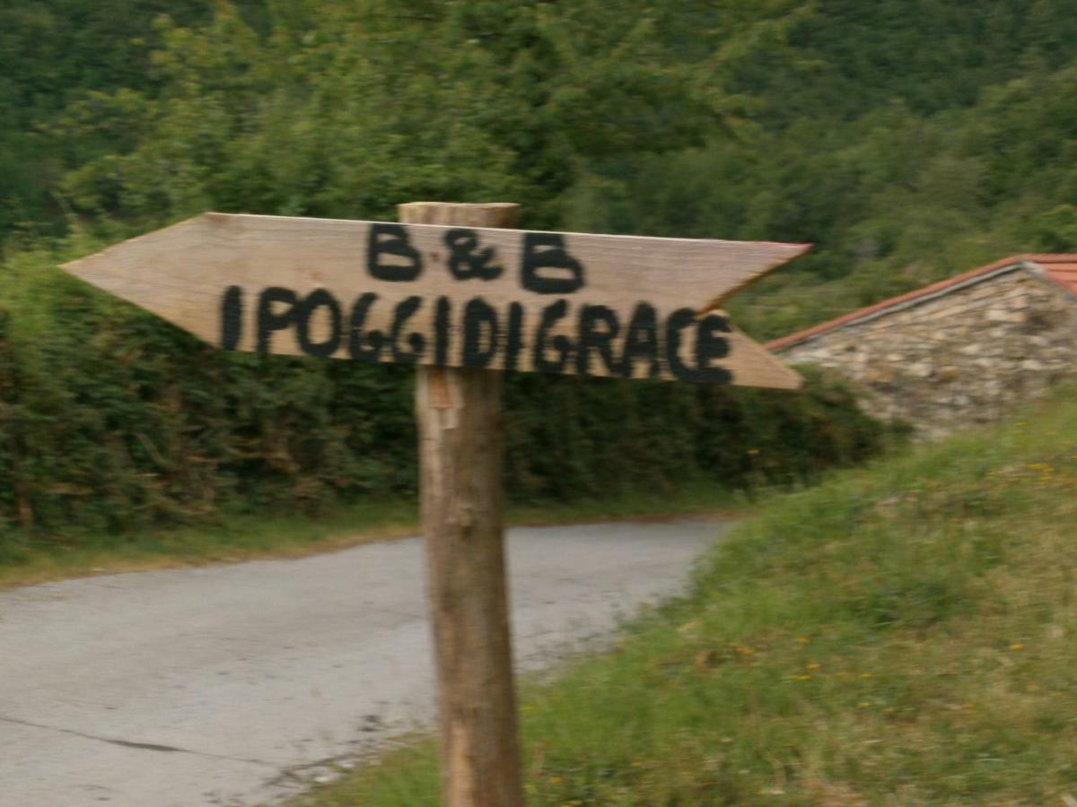 I Poggi Di Grace Acomodação com café da manhã Fivizzano Exterior foto